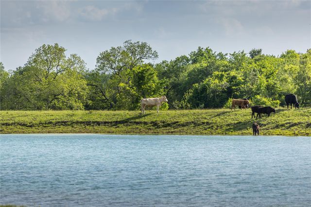 4201 Krueger Road, Chappell Hill, TX 77880