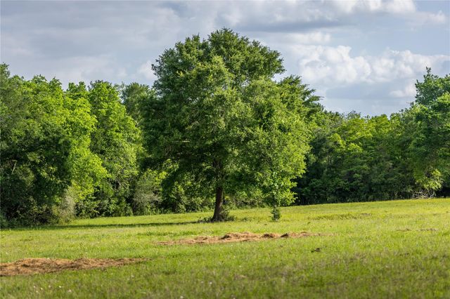 4201 Krueger Road, Chappell Hill, TX 77880