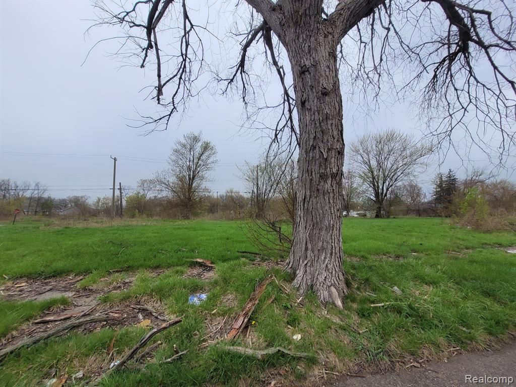 3919 Beaconsfield Street, Detroit, MI 48224