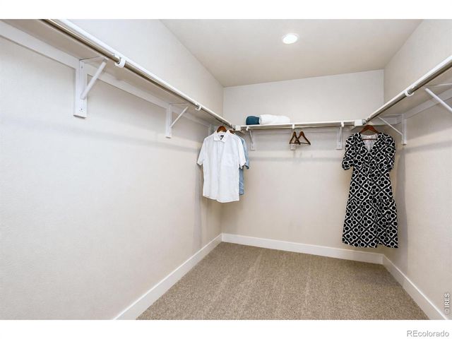 2908 Donatello Street, Loveland, CO 80538