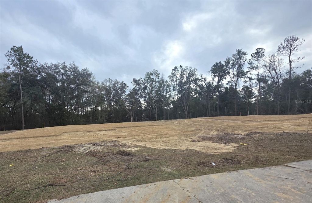 581 SW BELLFLOWER DRIVE, Lake City, FL 32024