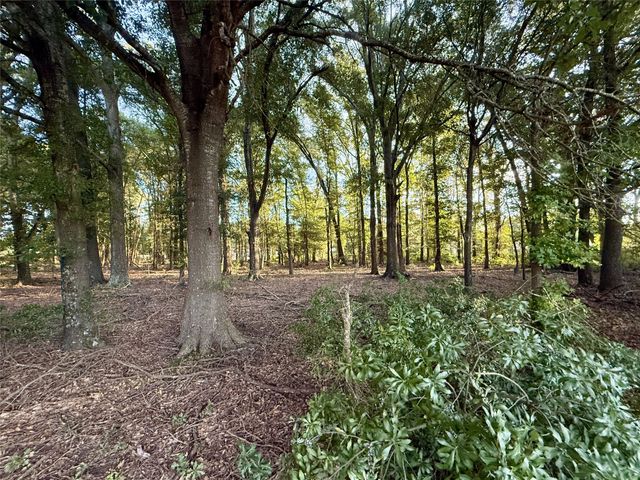 1211 VZ County Rd 4418 Road, Canton, TX 75103