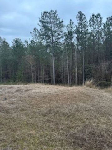 407 Mae Cato Drive, Midway, FL 32343