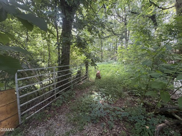 4906 Shady Road, Strawberry Plains, TN 37871