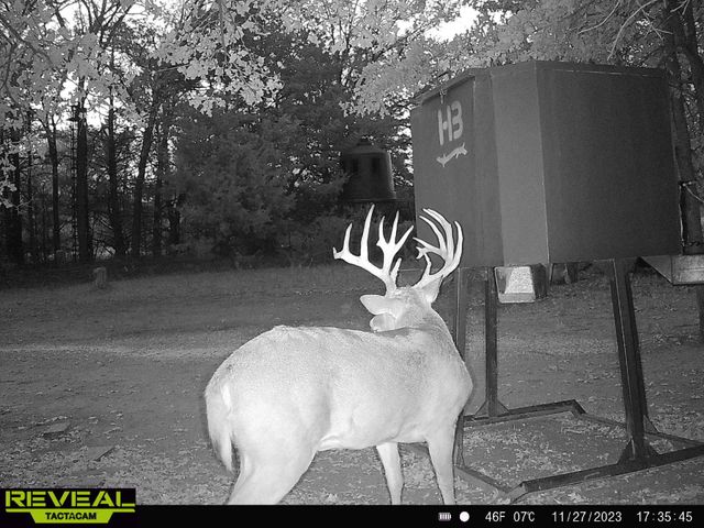 186 Martin Lane, Sadler, TX 76264