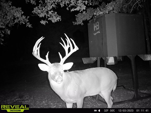 186 Martin Lane, Sadler, TX 76264