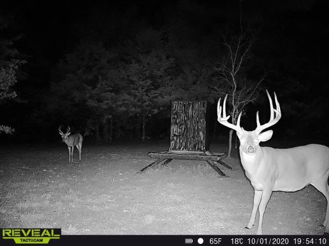 186 Martin Lane, Sadler, TX 76264