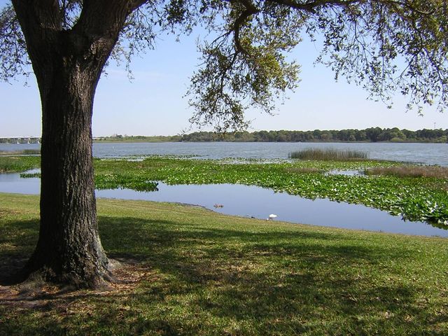 9209 SEMINOLE BOULEVARD 67, Seminole, FL 33772