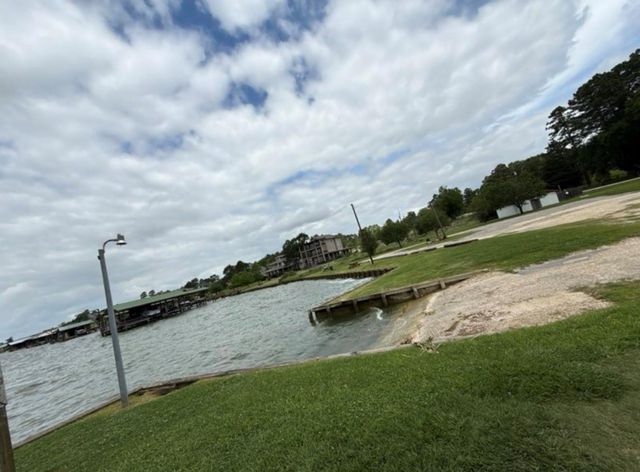 199 Apple Tree, Livingston, TX 77351