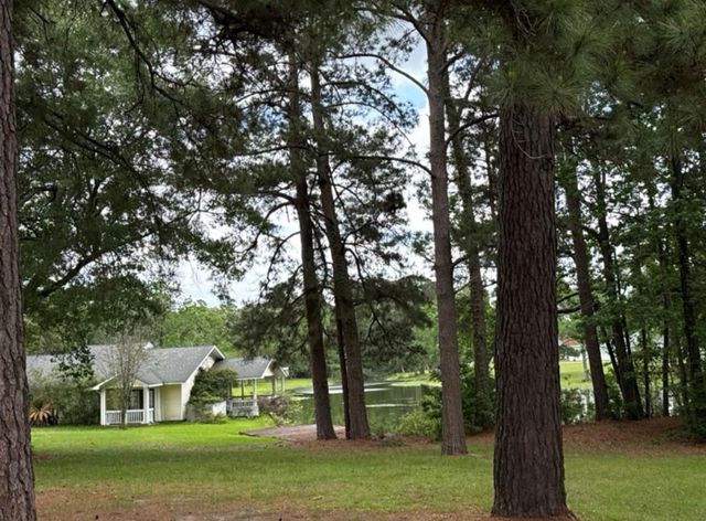 199 Apple Tree, Livingston, TX 77351