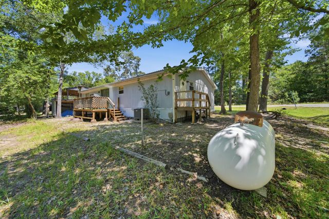 199 Apple Tree, Livingston, TX 77351