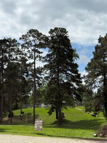 199 Apple Tree, Livingston, TX 77351