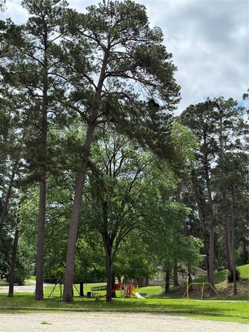 199 Apple Tree, Livingston, TX 77351