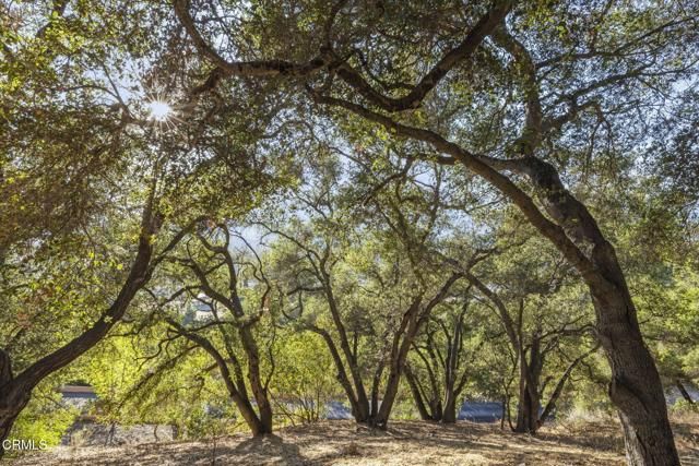 10920 Ventura Avenue, Oak View, CA 93022