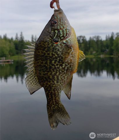 23802 E Lake Kayak Drive, Monroe, WA 98272