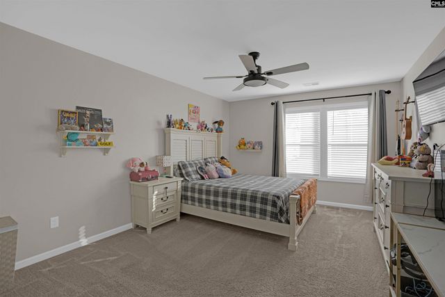 652 Rose Quartz Lane, Lexington, SC 29073