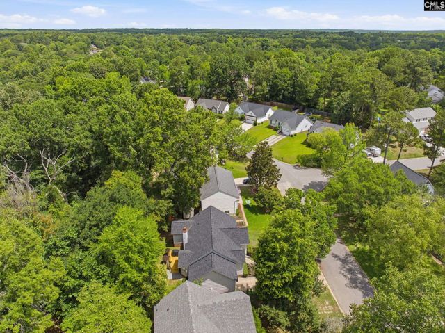 1321 Riverwalk Way, Irmo, SC 29063