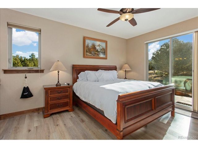 14982 Mary Murphy Dr, Nathrop, CO 81236