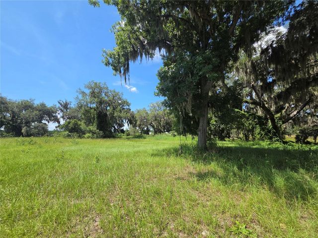 466 LONG AND WINDING ROAD, Howey In The Hills, FL 34737