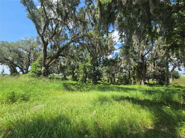 466 LONG AND WINDING ROAD, Howey In The Hills, FL 34737