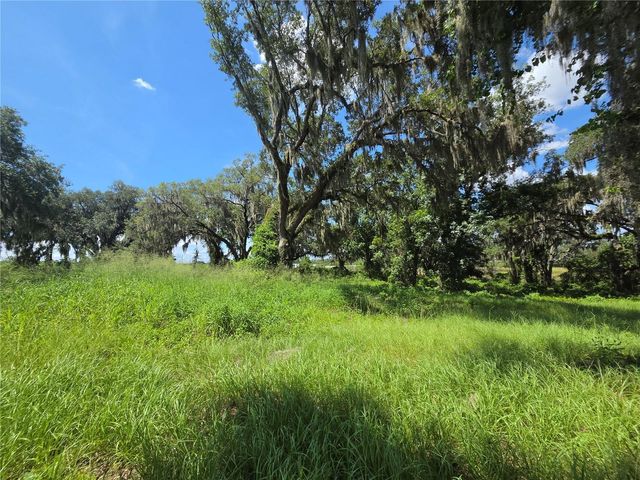 466 LONG AND WINDING ROAD, Howey In The Hills, FL 34737