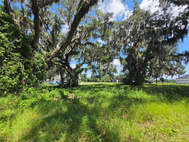 466 LONG AND WINDING ROAD, Howey In The Hills, FL 34737