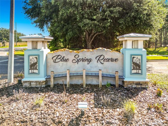 466 LONG AND WINDING ROAD, Howey In The Hills, FL 34737