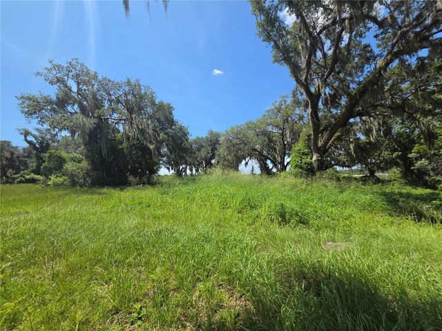 466 LONG AND WINDING ROAD, Howey In The Hills, FL 34737