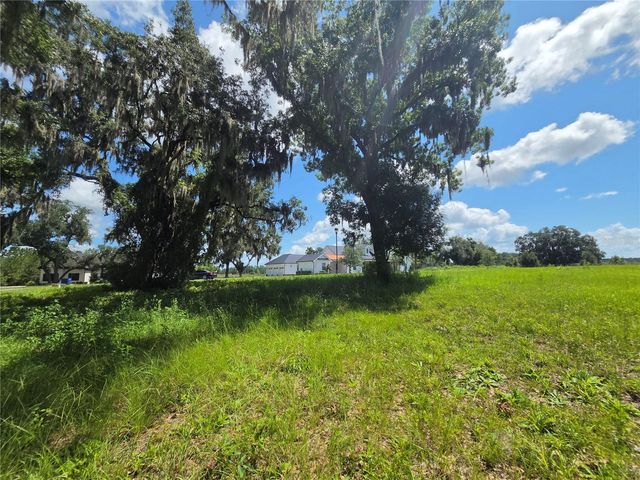 466 LONG AND WINDING ROAD, Howey In The Hills, FL 34737