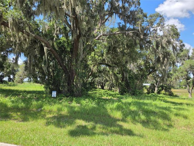 466 LONG AND WINDING ROAD, Howey In The Hills, FL 34737