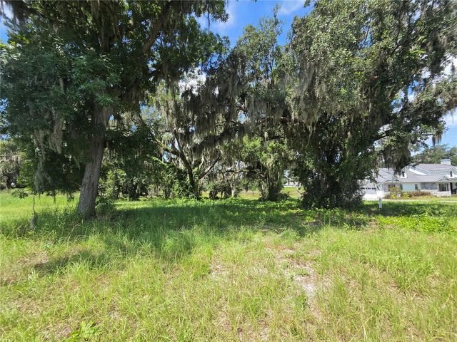 466 LONG AND WINDING ROAD, Howey In The Hills, FL 34737