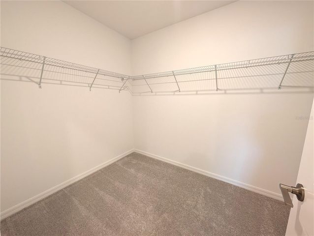 10171 BOGER RANCH CT, Wesley Chapel, FL 33545