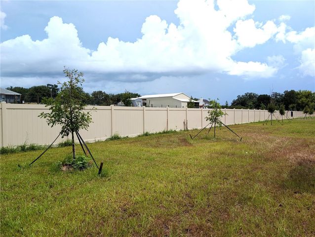 10171 BOGER RANCH CT, Wesley Chapel, FL 33545