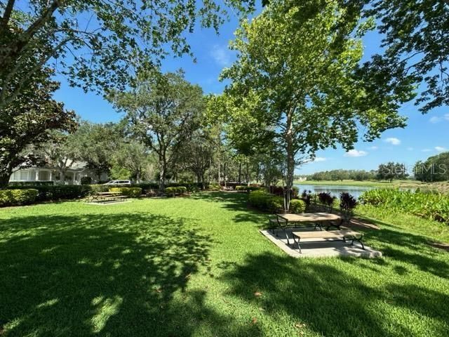917 WATERSIDE LANE 203, Celebration, FL 34747