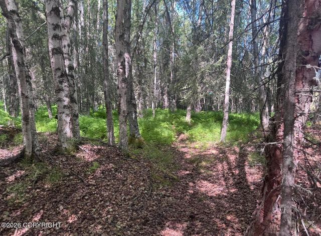 52555 Sterling Highway, Kasilof, AK 99610