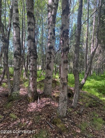52555 Sterling Highway, Kasilof, AK 99610