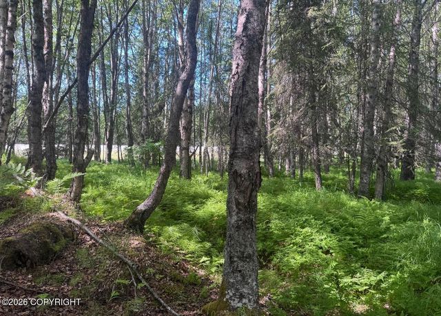 52555 Sterling Highway, Kasilof, AK 99610