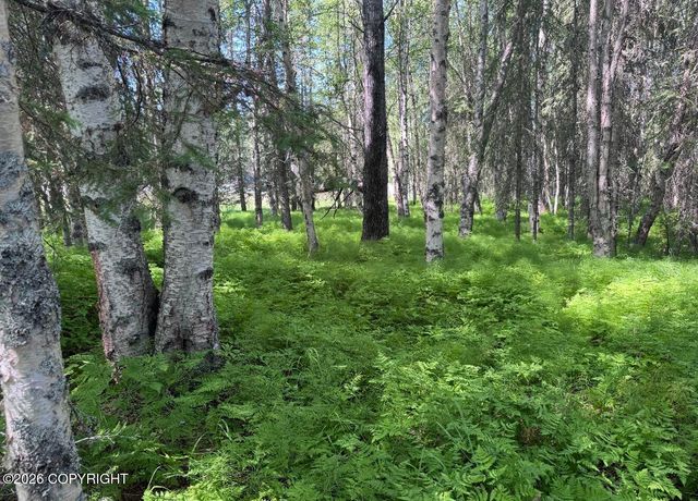 52555 Sterling Highway, Kasilof, AK 99610