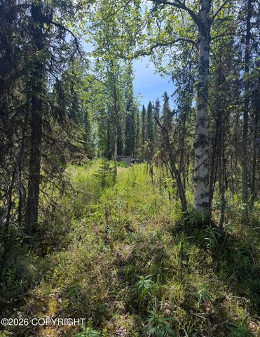 52555 Sterling Highway, Kasilof, AK 99610