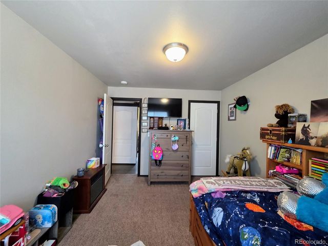 388, 389 Sequoia, Mt Massive Drive, Twin Lakes, CO 81251