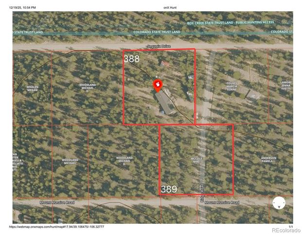 388, 389 Sequoia, Mt Massive Drive, Twin Lakes, CO 81251