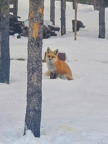 388, 389 Sequoia, Mt Massive Drive, Twin Lakes, CO 81251