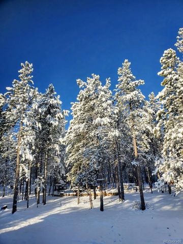 388, 389 Sequoia, Mt Massive Drive, Twin Lakes, CO 81251