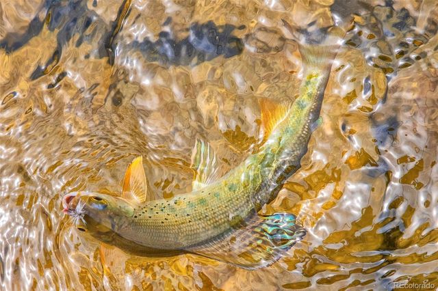 388, 389 Sequoia, Mt Massive Drive, Twin Lakes, CO 81251