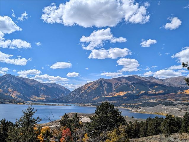 388, 389 Sequoia, Mt Massive Drive, Twin Lakes, CO 81251