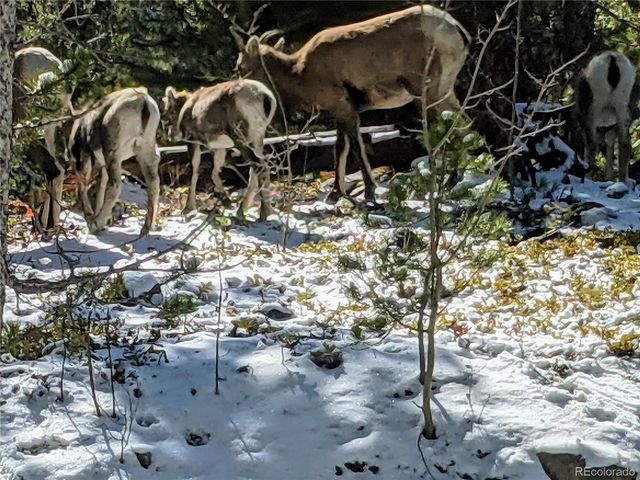 388, 389 Sequoia, Mt Massive Drive, Twin Lakes, CO 81251