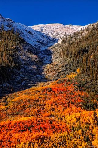 388, 389 Sequoia, Mt Massive Drive, Twin Lakes, CO 81251