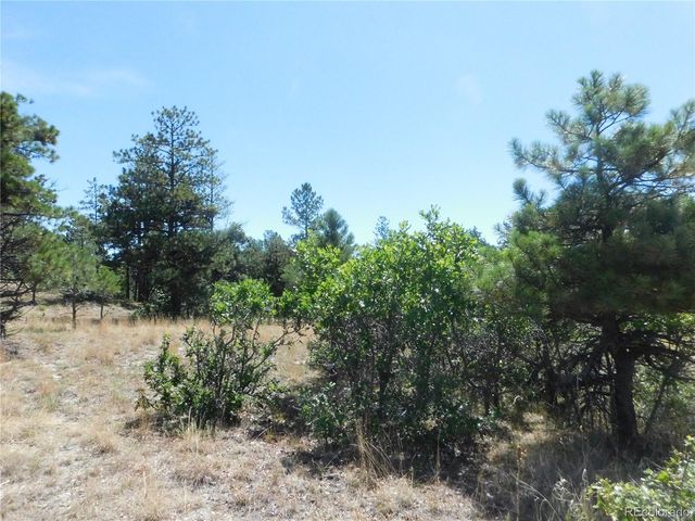 1392 Cameron Court, Larkspur, CO 80118