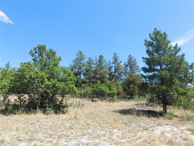 1392 Cameron Court, Larkspur, CO 80118