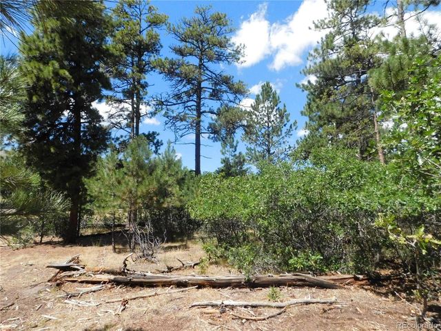 1392 Cameron Court, Larkspur, CO 80118